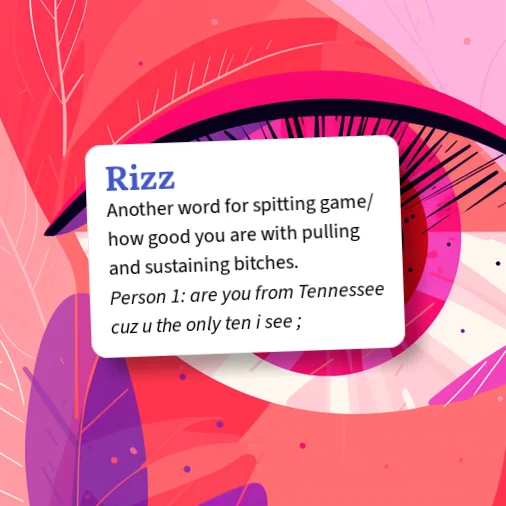 Python Slang Edition Rizz Urban Dictionary: Rizz