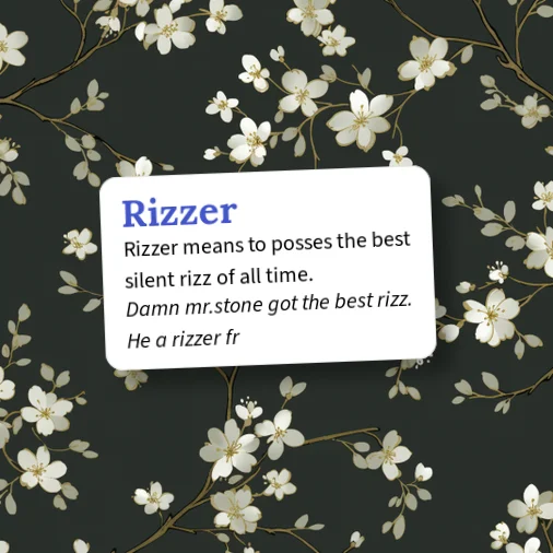Mr Rizzer Urban Dictionary: Rizzer