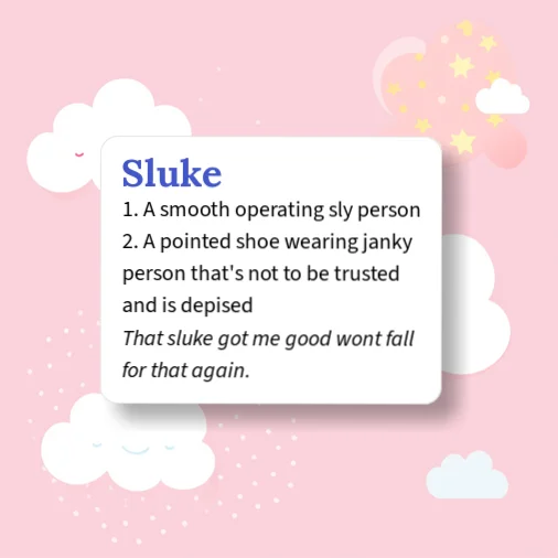 Sentence Using Slake Urban Dictionary: Sluke