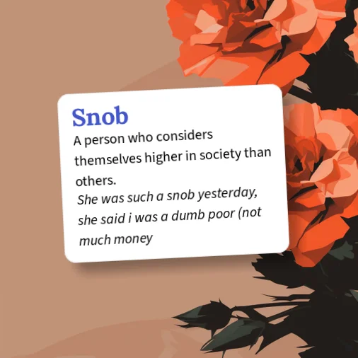 Snobs Def Urban Dictionary: Snob