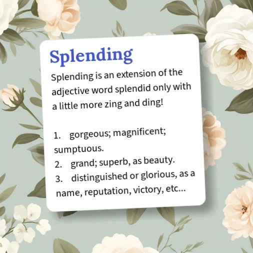 Splend Definition Urban Dictionary: Splending