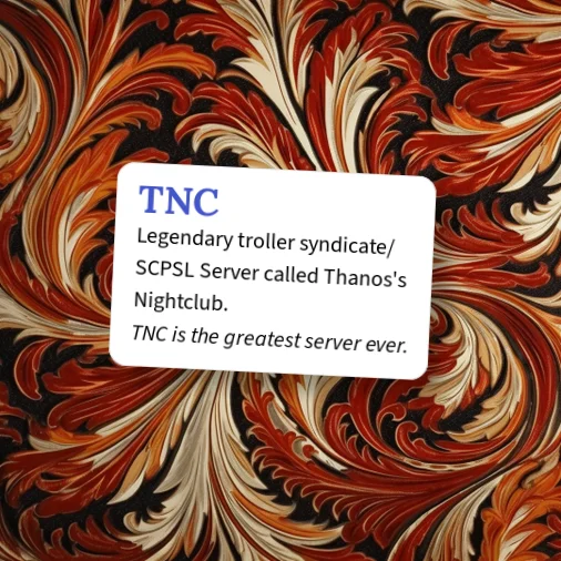 Tnc Examples Fun Urban Dictionary: TNC