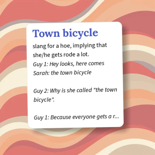 Urban Dictionary: town-bicycle