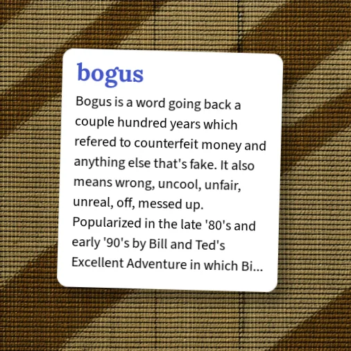 Urban Dictionary: bogus