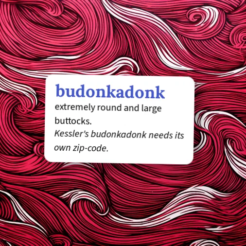 Badunka Urban Dictionary: budonkadonk