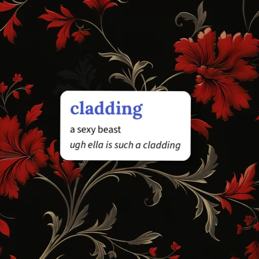 Cladding Word Urban Dictionary: cladding