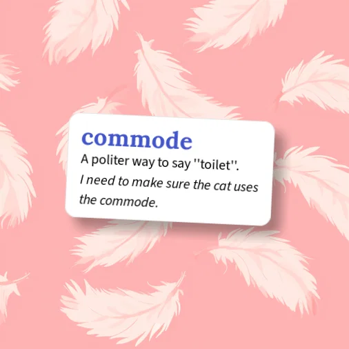 Word Commode Origin Urban Dictionary: commode