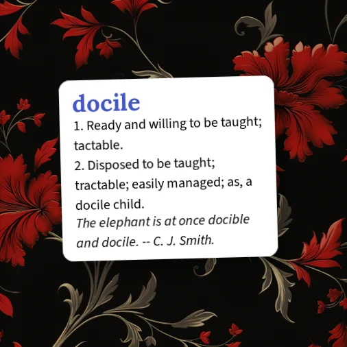 Urban Dictionary: docile