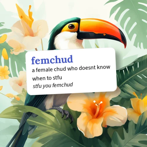 Chud Example Urban Dictionary: femchud