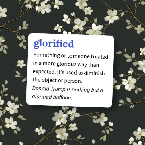 Glorify Definition Urban Dictionary: glorified