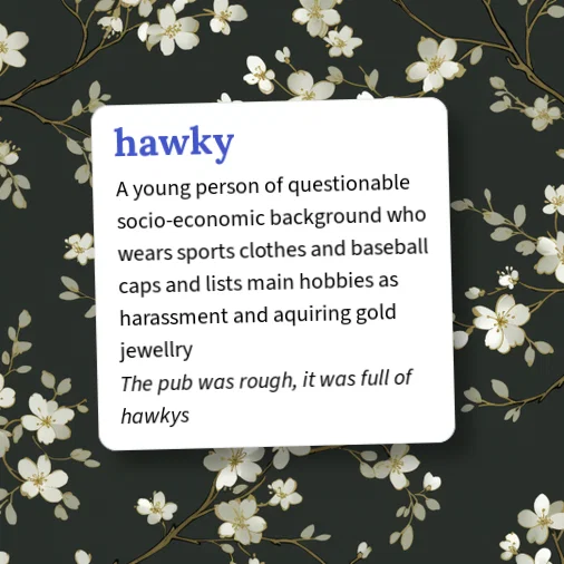 Define Haky Urban Dictionary: hawky