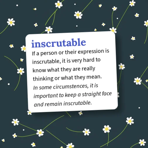 Inscrutable Object Urban Dictionary: inscrutable