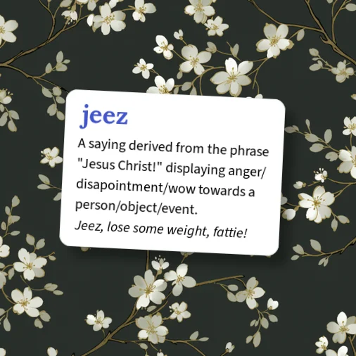 Urban Dictionary: jeez