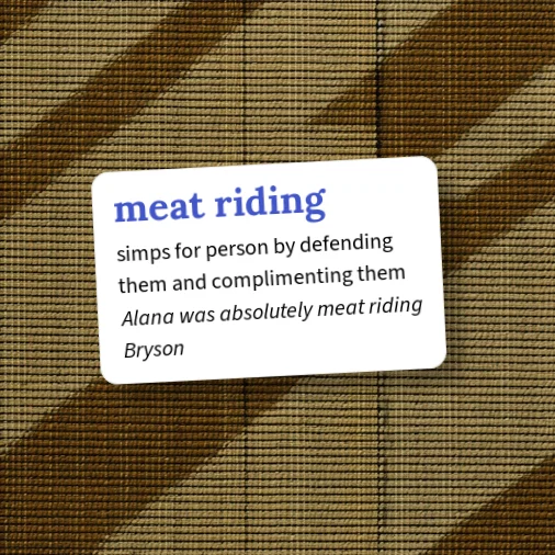 Urban Dictionary: meat-riding
