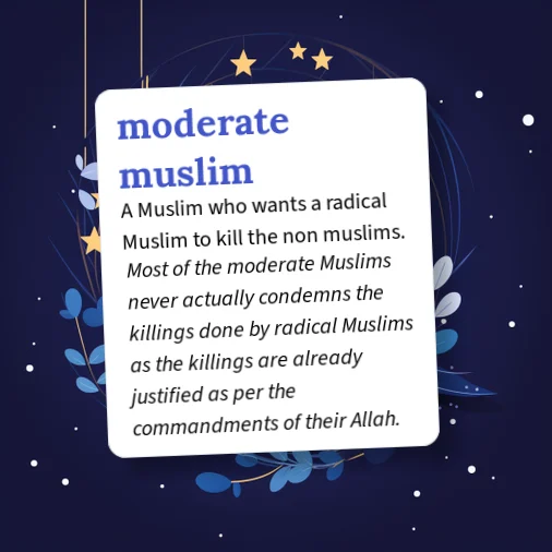Urban Dictionary: moderate-muslim
