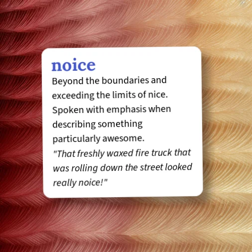 Noice Example Urban Dictionary: noice