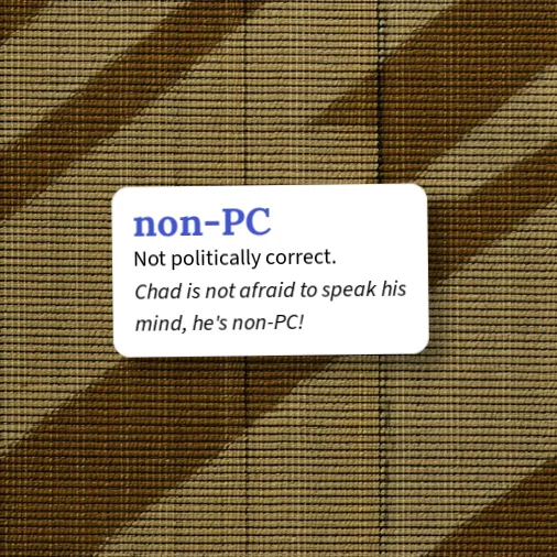 Urban Dictionary: non-PC