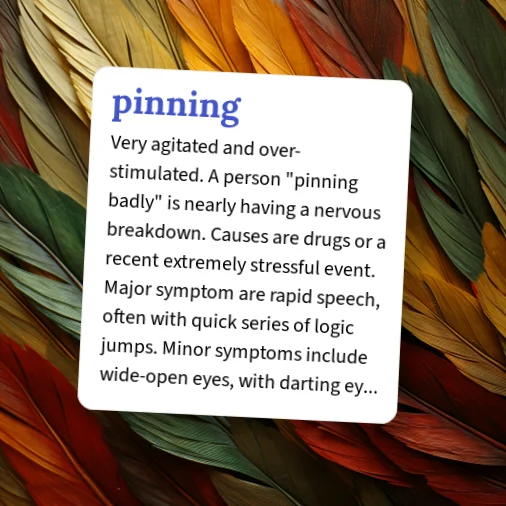 Pinning Def Urban Dictionary: pinning