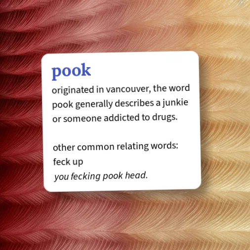 Pooked Urban Dictionary: pook