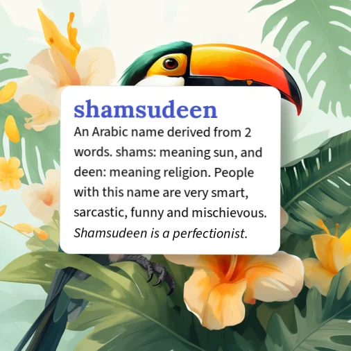 Sham Word Urban Dictionary: shamsideen