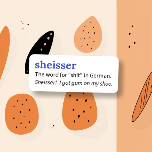 Scheiser Urban Dictionary: sheisser