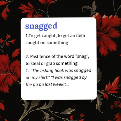 Snagged Example Urban Dictionary: snagged