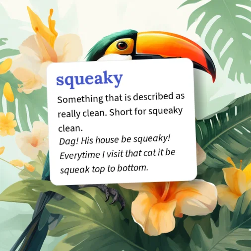 Word Squeaky Urban Dictionary: squeaky