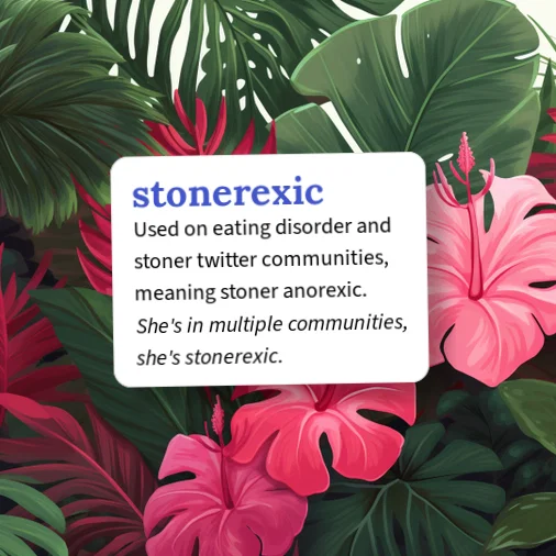 Stone Dictionary Urban Dictionary: stonerexic