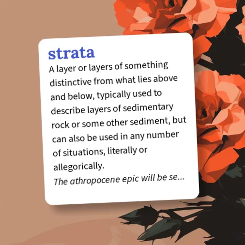 Strata Meaning Math Urban Dictionary: strata