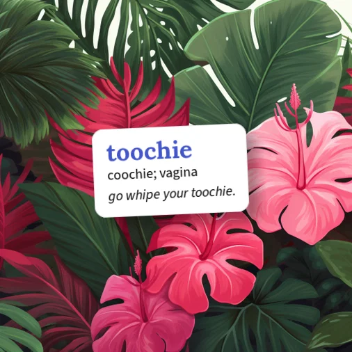 Stoonchie Urban Dictionary: toochie